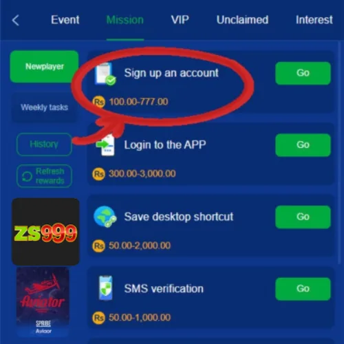 zs999